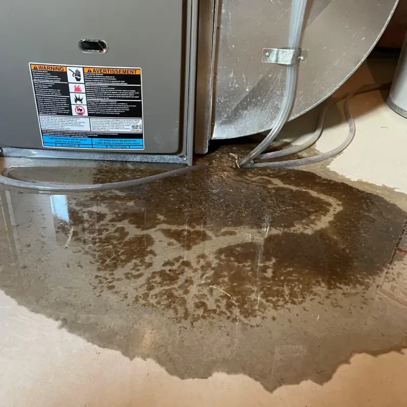 Appliance Leak Cleanup in Camp Point, IL