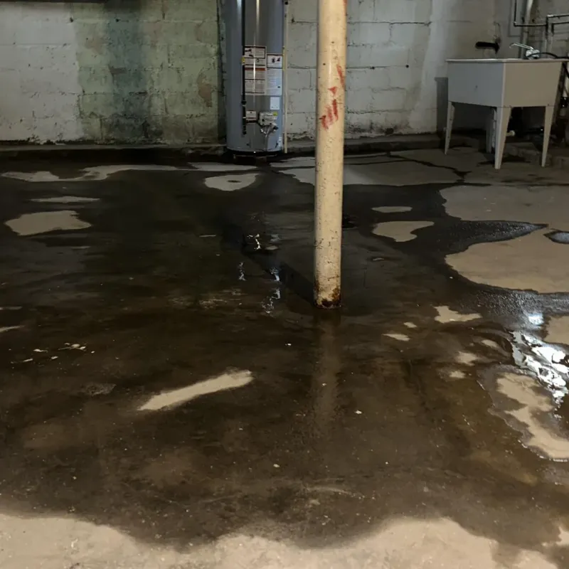 Emergency Water Extraction And Removal in Camp Point, IL